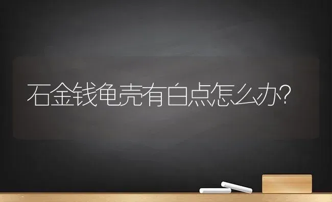 猫咪认人吗，有记忆吗？ | 动物养殖问答