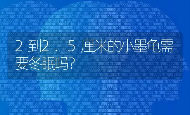 2到2.5厘米的小墨龟需要冬眠吗？ | 动物养殖问答