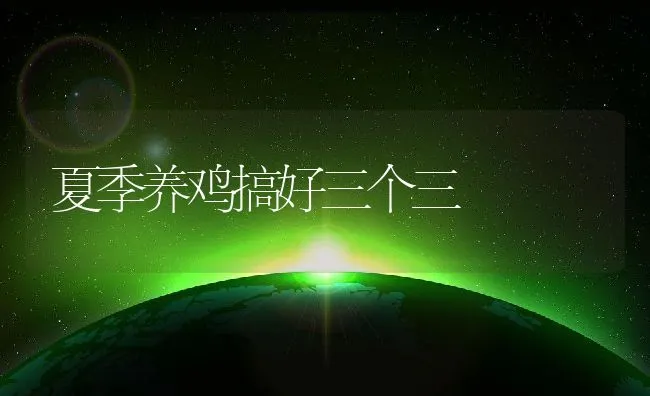 夏季养鸡搞好三个三 | 动物养殖学堂