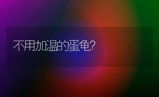 不用加温的蛋龟？ | 动物养殖问答