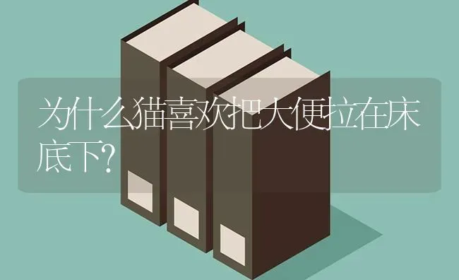 为什么猫喜欢把大便拉在床底下？ | 动物养殖问答