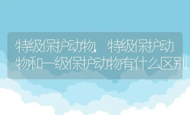 特级保护动物,特级保护动物和一级保护动物有什么区别 | 宠物百科知识