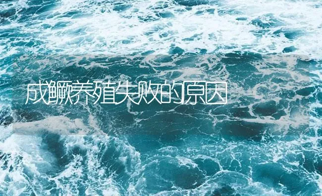 成鳜养殖失败的原因 | 海水养殖技术