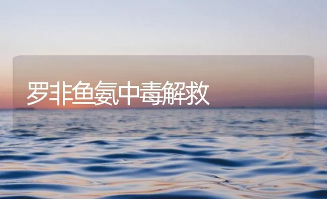 罗非鱼氨中毒解救 | 海水养殖技术