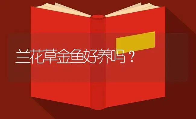 兰花草金鱼好养吗？ | 鱼类宠物饲养