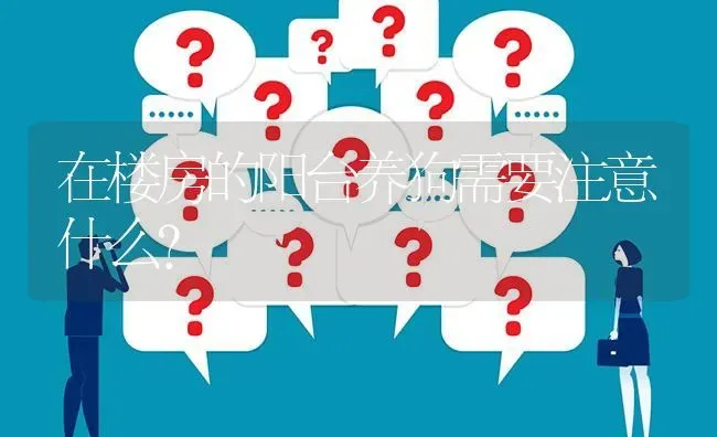 在楼房的阳台养狗需要注意什么？ | 动物养殖问答