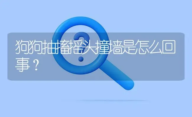 狗狗抽搐摇头撞墙是怎么回事？ | 动物养殖问答