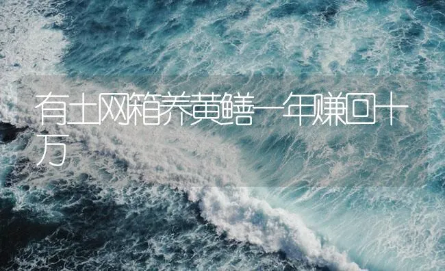 有土网箱养黄鳝一年赚回十万 | 海水养殖技术