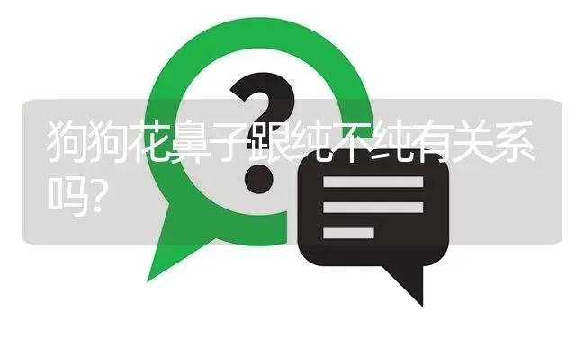 狗狗花鼻子跟纯不纯有关系吗？ | 动物养殖问答