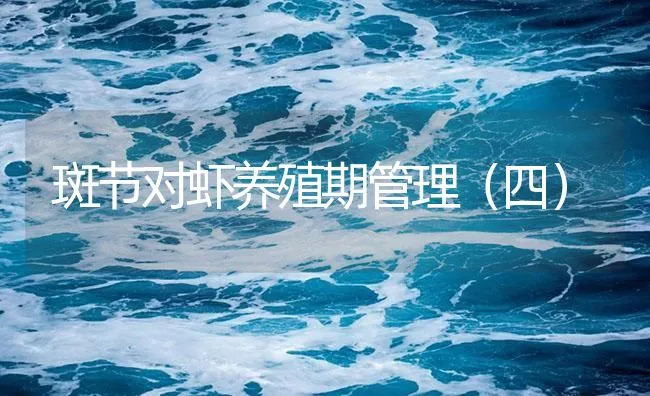 斑节对虾养殖期管理（四） | 海水养殖技术