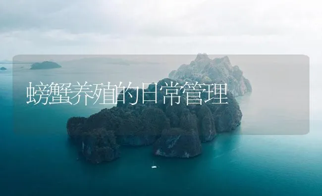 螃蟹养殖的日常管理 | 海水养殖技术