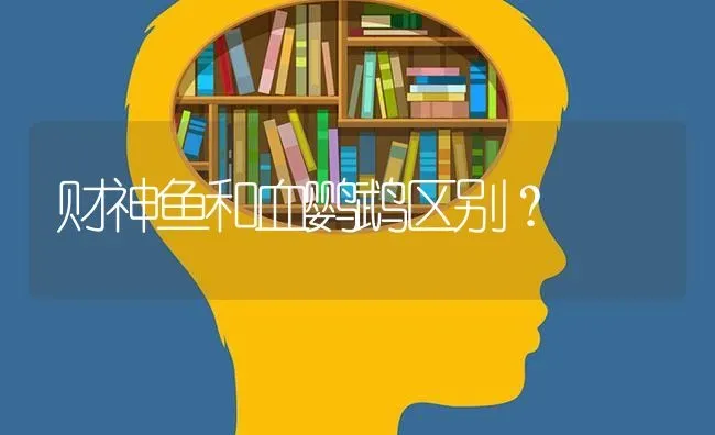 财神鱼和血鹦鹉区别？ | 鱼类宠物饲养