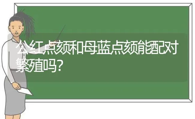 公红点颏和母蓝点颏能配对繁殖吗？ | 动物养殖问答