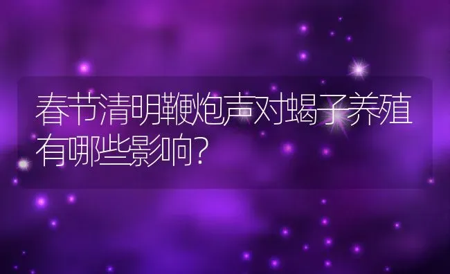 春节清明鞭炮声对蝎子养殖有哪些影响？ | 动物养殖百科