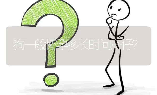 狗一般怀孕多长时间产仔？ | 动物养殖问答