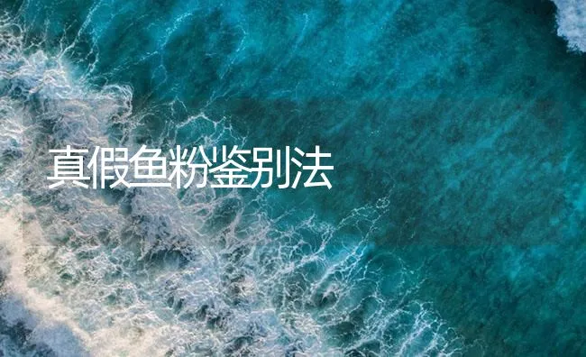 真假鱼粉鉴别法 | 海水养殖技术