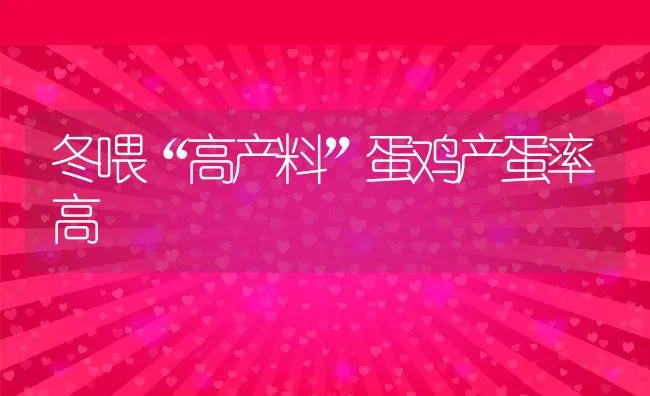 冬喂“高产料”蛋鸡产蛋率高 | 动物养殖饲料