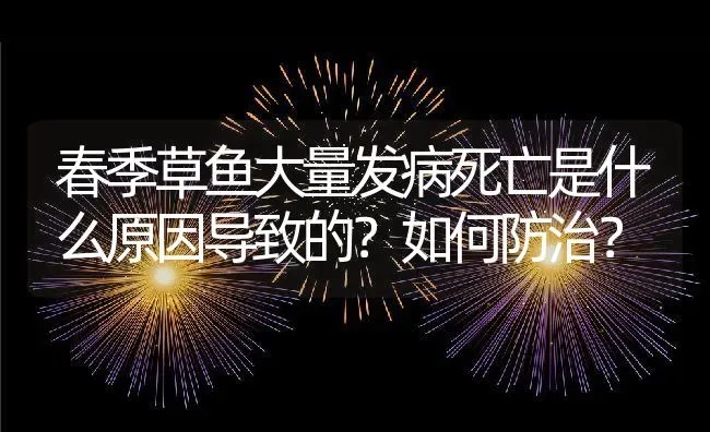 春季草鱼大量发病死亡是什么原因导致的？如何防治？ | 动物养殖百科