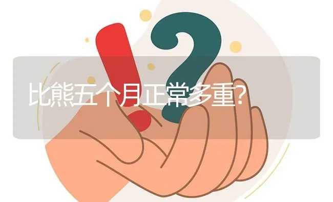 比熊五个月正常多重？ | 动物养殖问答