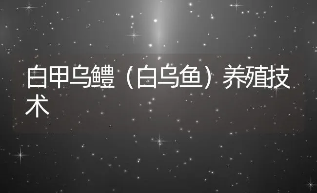 白甲乌鳢（白乌鱼）养殖技术 | 水产养殖知识