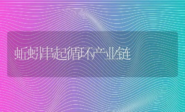 蚯蚓串起循环产业链 | 动物养殖百科