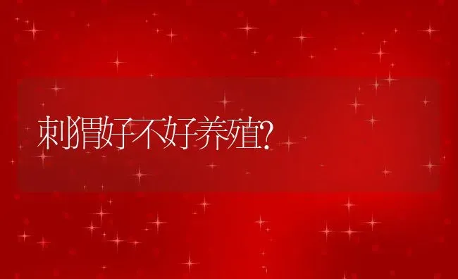 刺猬好不好养殖？ | 动物养殖百科