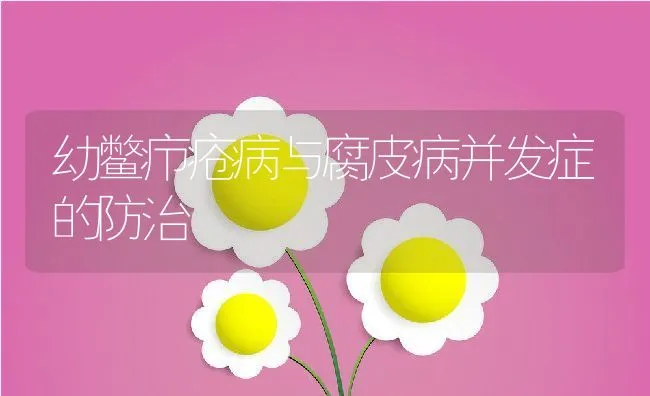 幼鳖疖疮病与腐皮病并发症的防治 | 水产养殖知识