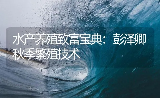 水产养殖致富宝典：彭泽卿秋季繁殖技术 | 海水养殖技术