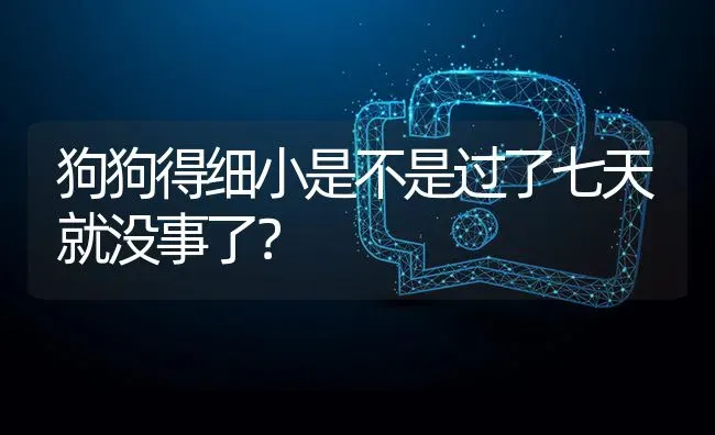 狗狗得细小是不是过了七天就没事了？ | 动物养殖问答