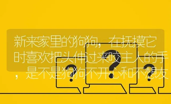 新来家里的狗狗，在抚摸它时喜欢把头伸过来咬主人的手，是不是狗狗不开心和不想友好的表示呢？ | 动物养殖问答