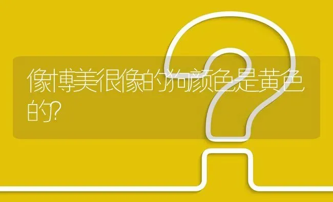 像博美很像的狗颜色是黄色的？ | 动物养殖问答