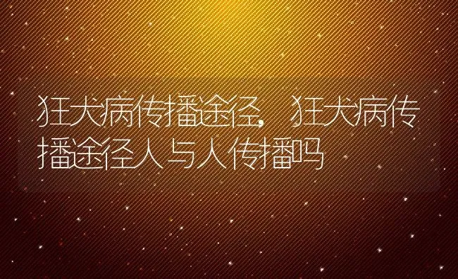 狂犬病传播途径,狂犬病传播途径人与人传播吗 | 宠物百科知识