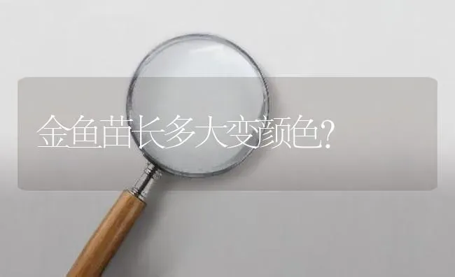 金鱼苗长多大变颜色？ | 鱼类宠物饲养