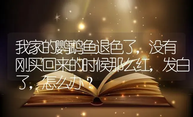 我家的鹦鹉鱼退色了，没有刚买回来的时候那么红，发白了，怎么办？ | 鱼类宠物饲养