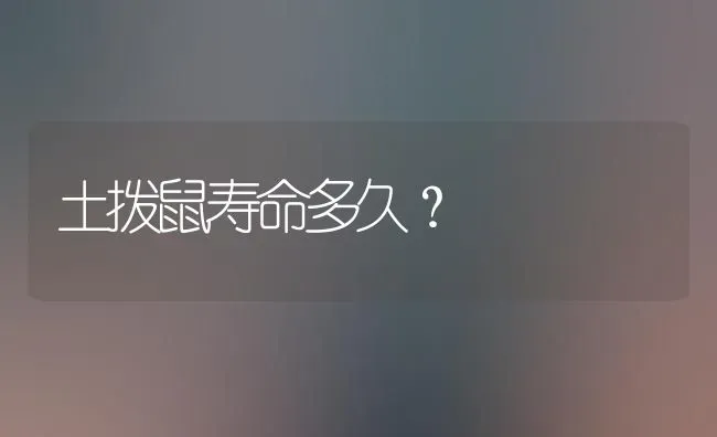 土拨鼠寿命多久？ | 动物养殖问答