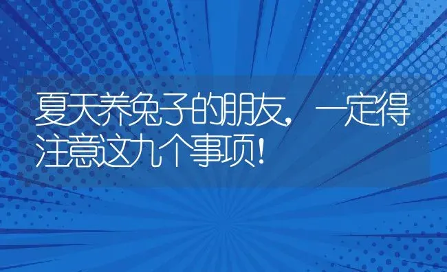 夏天养兔子的朋友，一定得注意这九个事项！ | 动物养殖百科