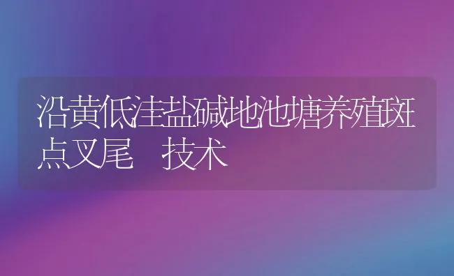 沿黄低洼盐碱地池塘养殖斑点叉尾鮰技术 | 动物养殖饲料