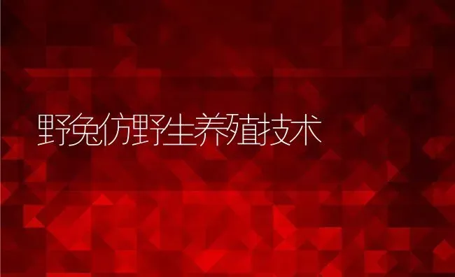 野兔仿野生养殖技术 | 动物养殖百科