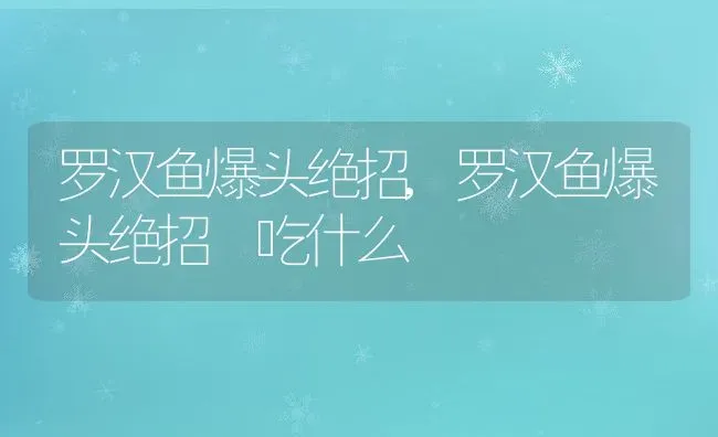 罗汉鱼爆头绝招,罗汉鱼爆头绝招 吃什么 | 宠物百科知识