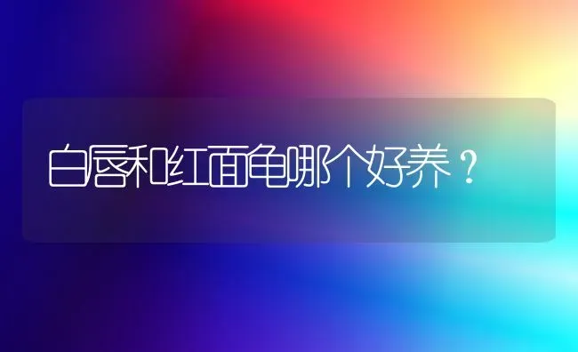 白唇和红面龟哪个好养？ | 动物养殖问答