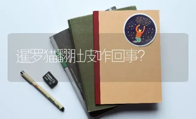 暹罗猫翻肚皮咋回事？ | 动物养殖问答