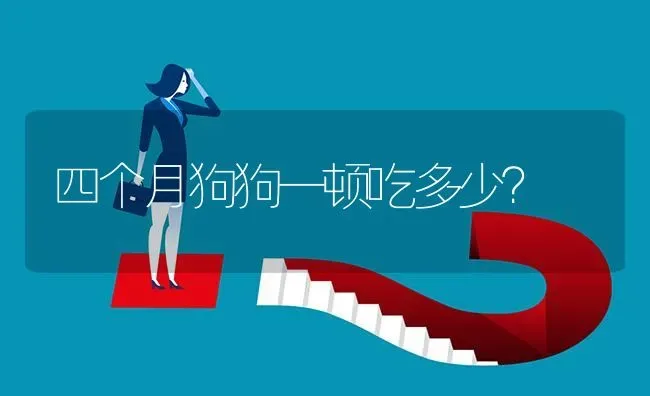 四个月狗狗一顿吃多少？ | 动物养殖问答