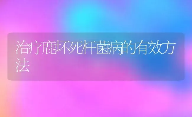 治疗鹿坏死杆菌病的有效方法 | 动物养殖教程