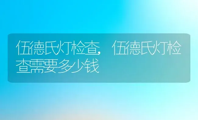 伍德氏灯检查,伍德氏灯检查需要多少钱 | 宠物百科知识