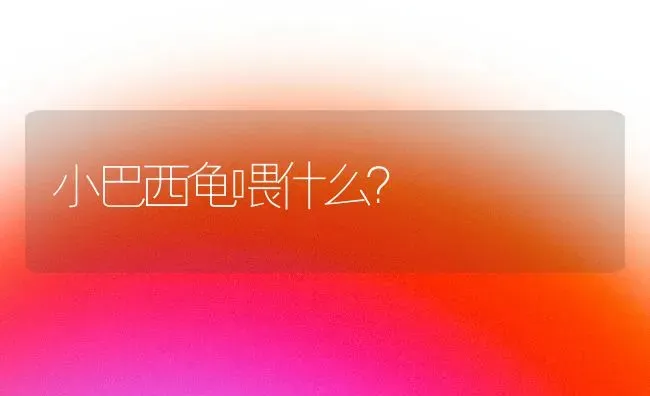 小巴西龟喂什么？ | 动物养殖问答