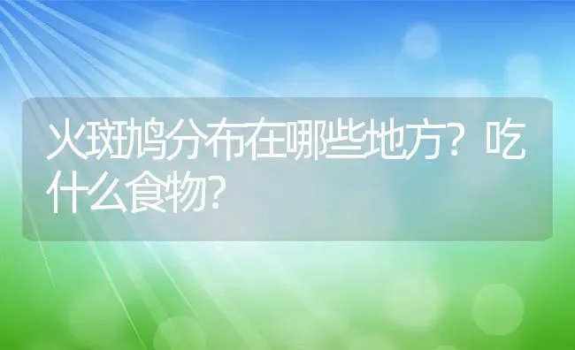 火斑鸠分布在哪些地方？吃什么食物？ | 动物养殖百科