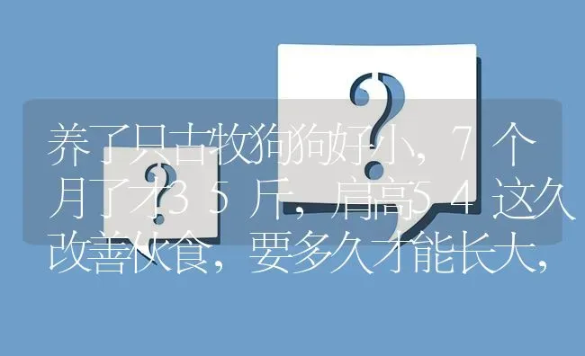 养了只古牧狗狗好小，7个月了才35斤，肩高54这久改善伙食，要多久才能长大，还能大多少，大家养古牧？ | 动物养殖问答