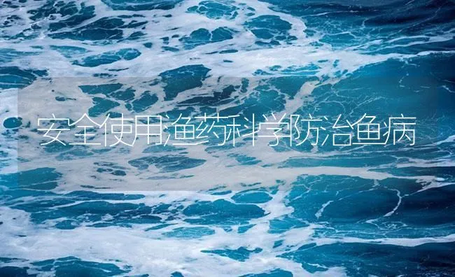 安全使用渔药科学防治鱼病 | 海水养殖技术