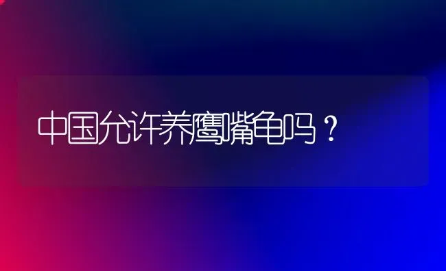 中国允许养鹰嘴龟吗？ | 动物养殖问答