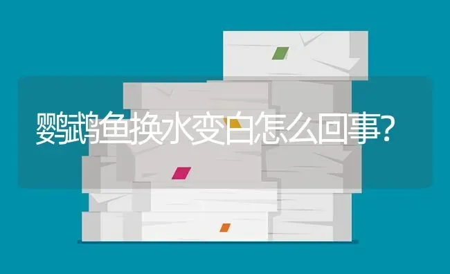 鹦鹉鱼换水变白怎么回事？ | 鱼类宠物饲养